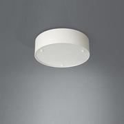 MASSIVE Lampa plafon SUSAN (kolor:  biały i czarny - szkło satynowane)