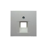 Element centralny do gniazda przyłączeniowego pojedynczego UAE - Berker B.1/B.3/B.7 Glas