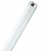 Philips Świetlówka liniowa TLD 18W G13