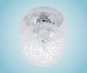 Lampa sufitowa Bantry 91809 - Eglo