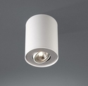 MASSIVE Lampa halogenowa NERO 1x50W  (kolor: biały i czarny)